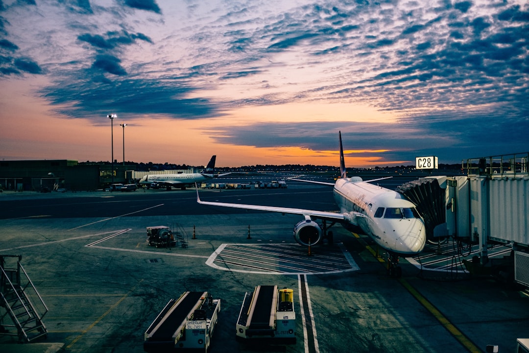 The Role of Travel Agencies and Online Platforms (image credits: unsplash)