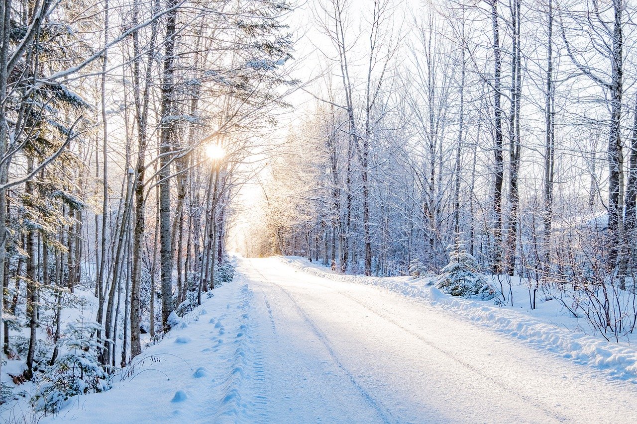 Canada: The Frigid North (image credits: pixabay)