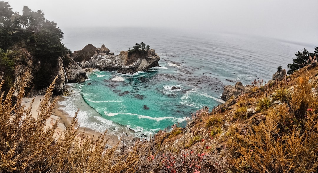 California: Slow Return to Golden Days (image credits: unsplash)