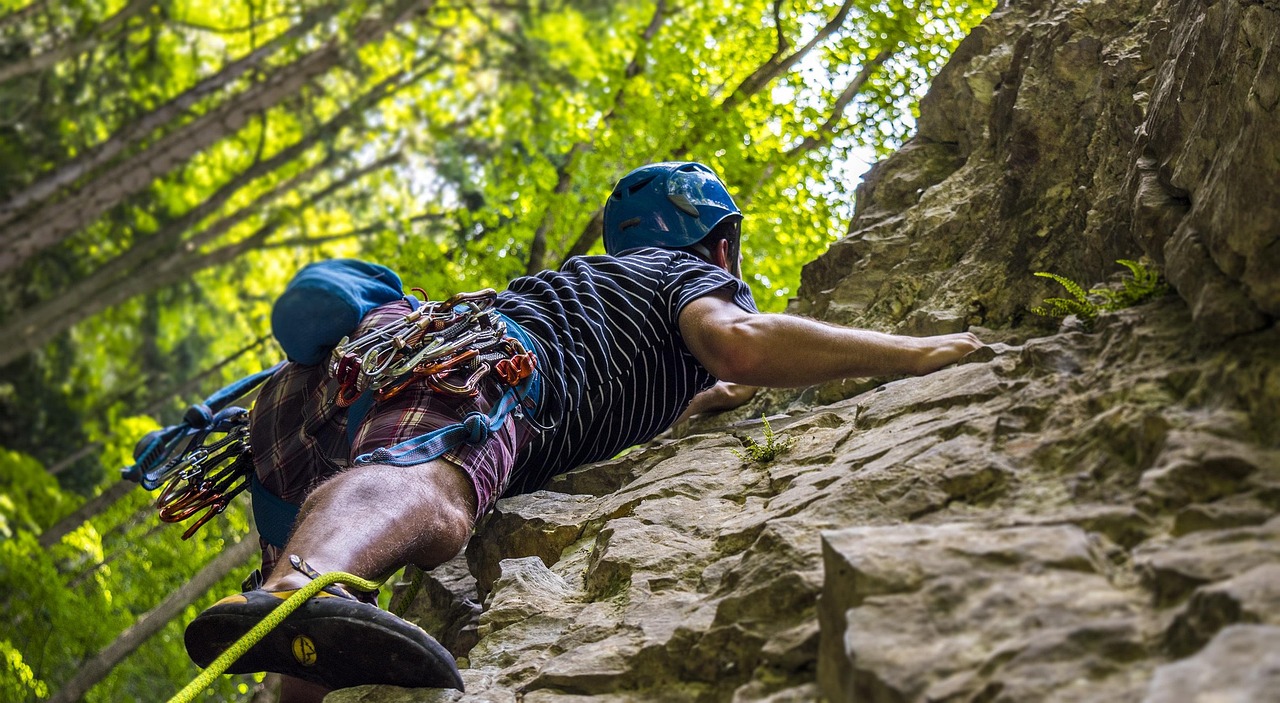 Climbing Fences and Walls (image credits: pixabay)