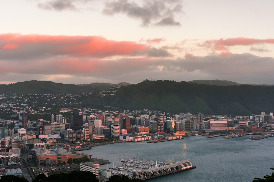 Wellington, New Zealand: The Capital of Kindness (image credits: unsplash)