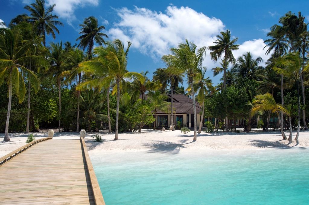 The Maldives Sinking Beauty Under Siege (image credits: rawpixel)