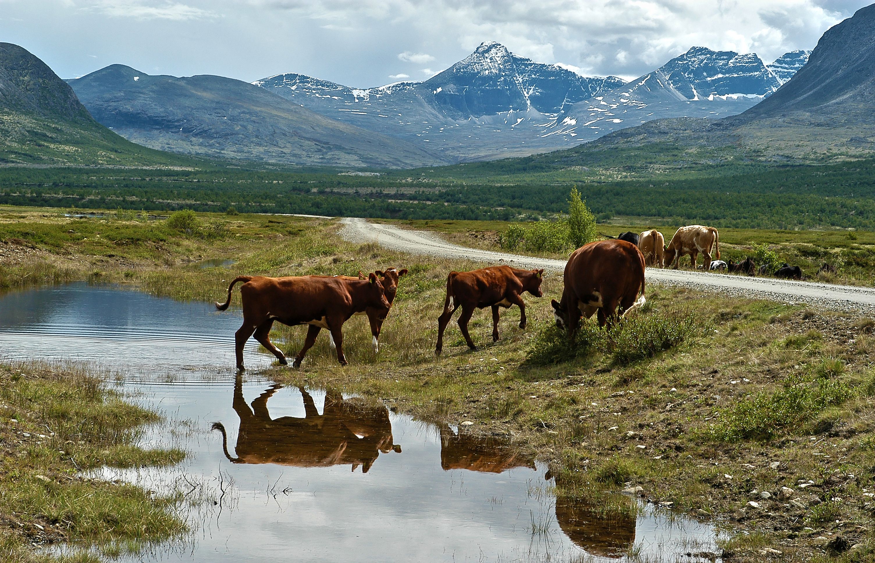 Norway: Storms Tamed by Mountains and the Sea (image credits: wikimedia)