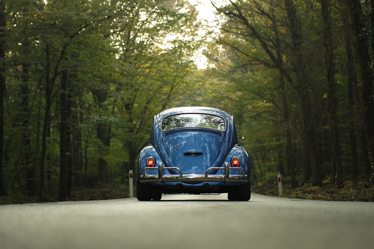 The Rise of Road Trips (image credits: pixabay)