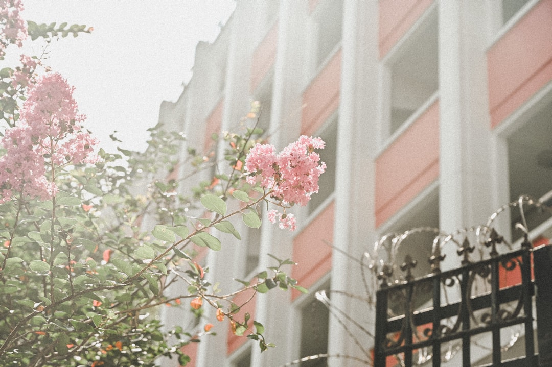 Secondary Inspection (image credits: unsplash)