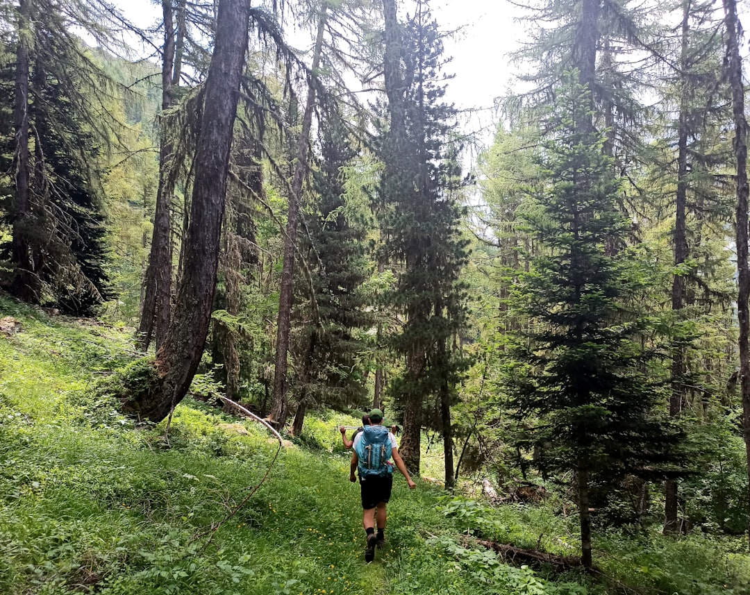 Adventure and Activities (image credits: unsplash)