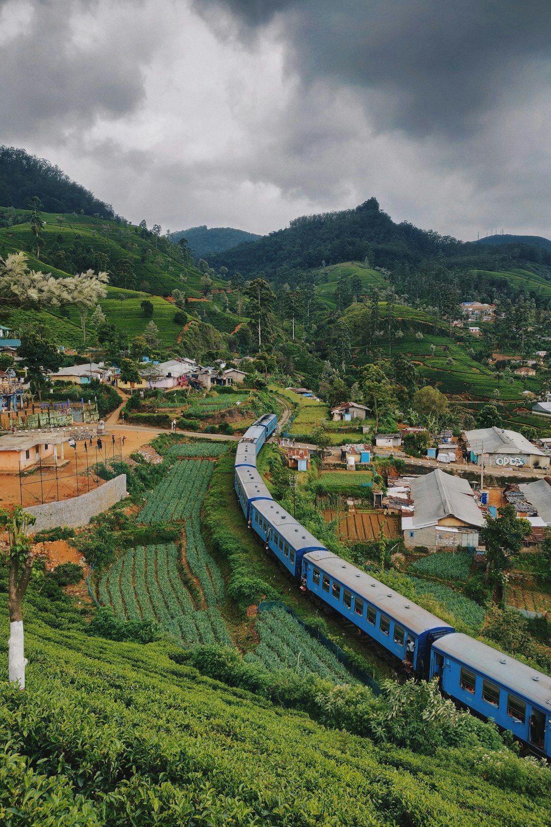 Connection with Nature (image credits: unsplash)