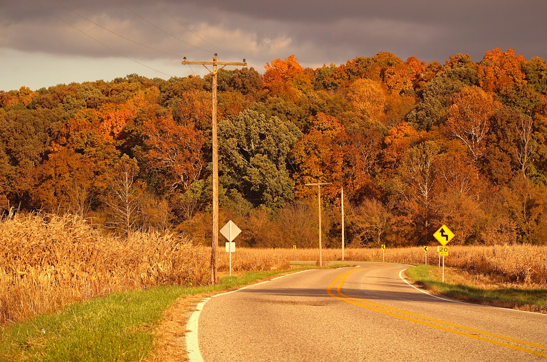17. Greene County - 70.5 Years (image credits: unsplash)