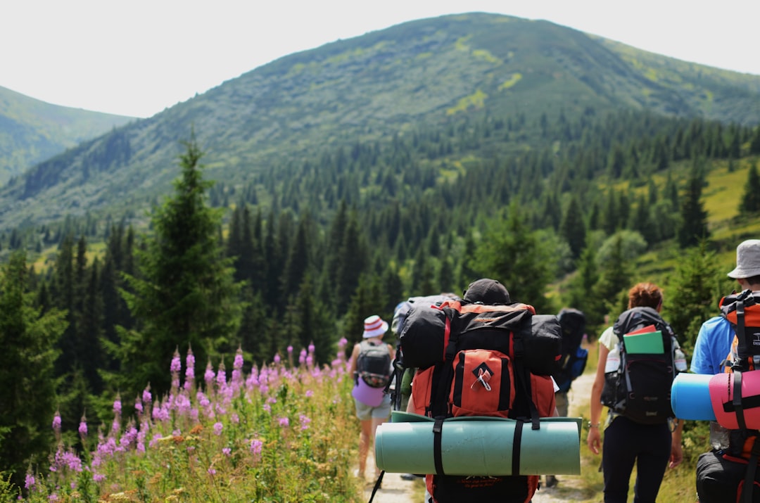 Romania: Castles, Carpathians, and Culture for Less (image credits: unsplash)