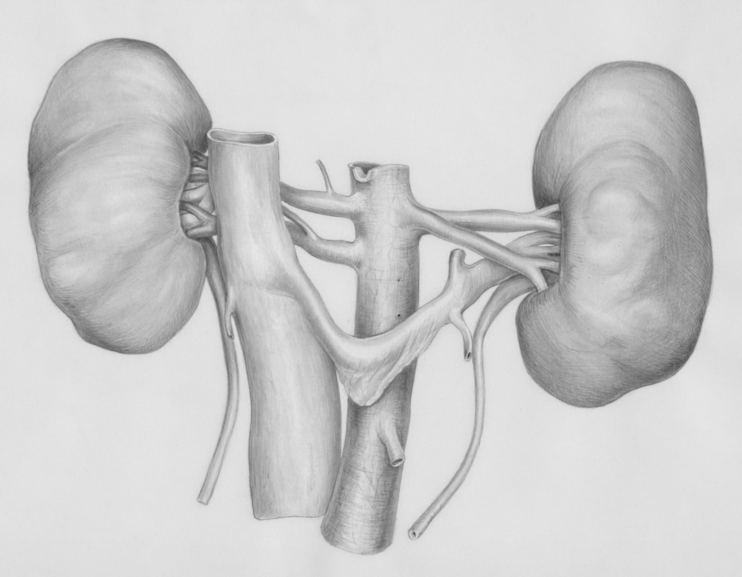 Kidney Function Testing (image credits: unsplash)