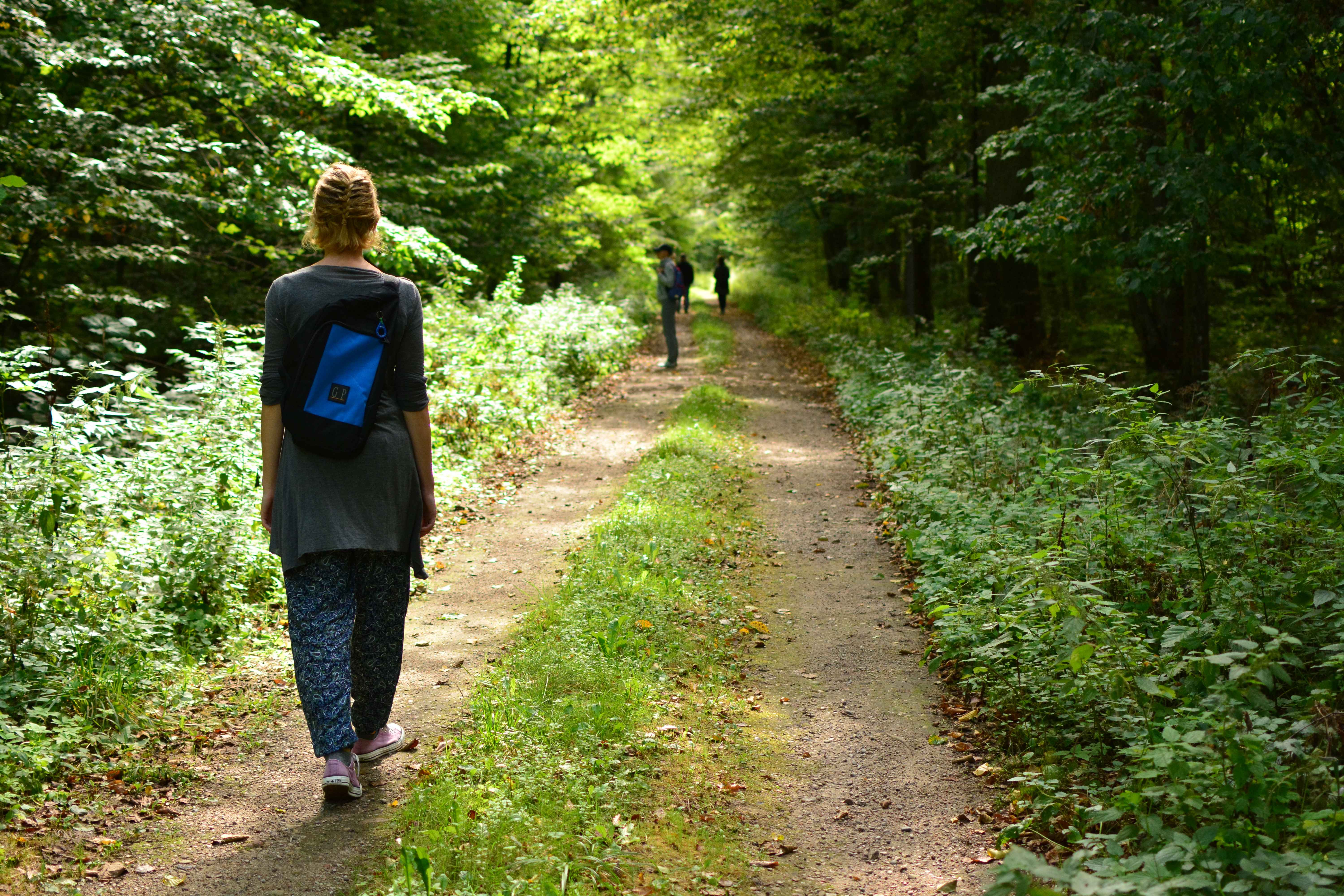 New Zealand: A Haven of Biodiversity and Outdoor Wellness (image credits: wikimedia)