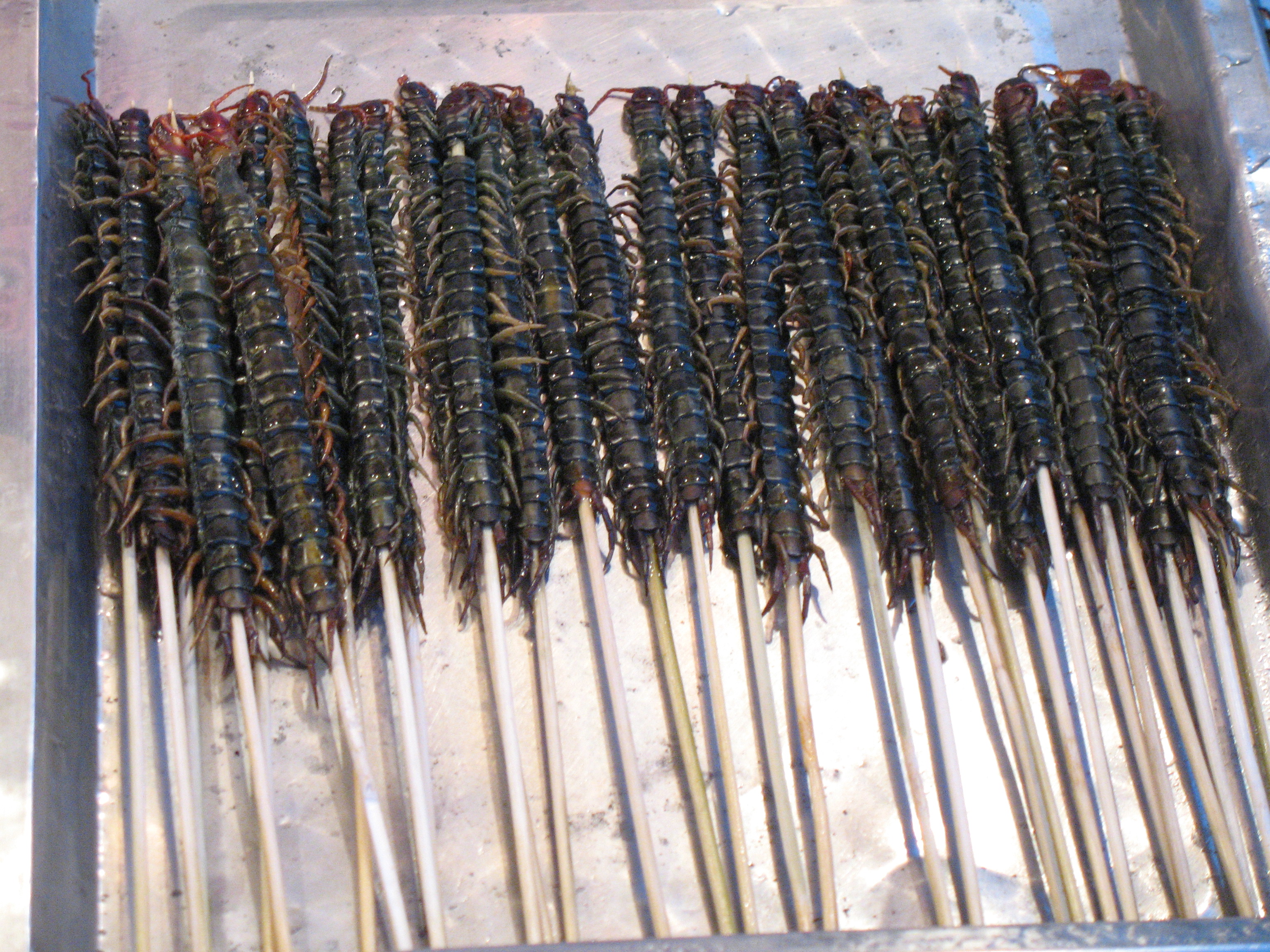 The Rise of Edible Insects in China (image credits: wikimedia)