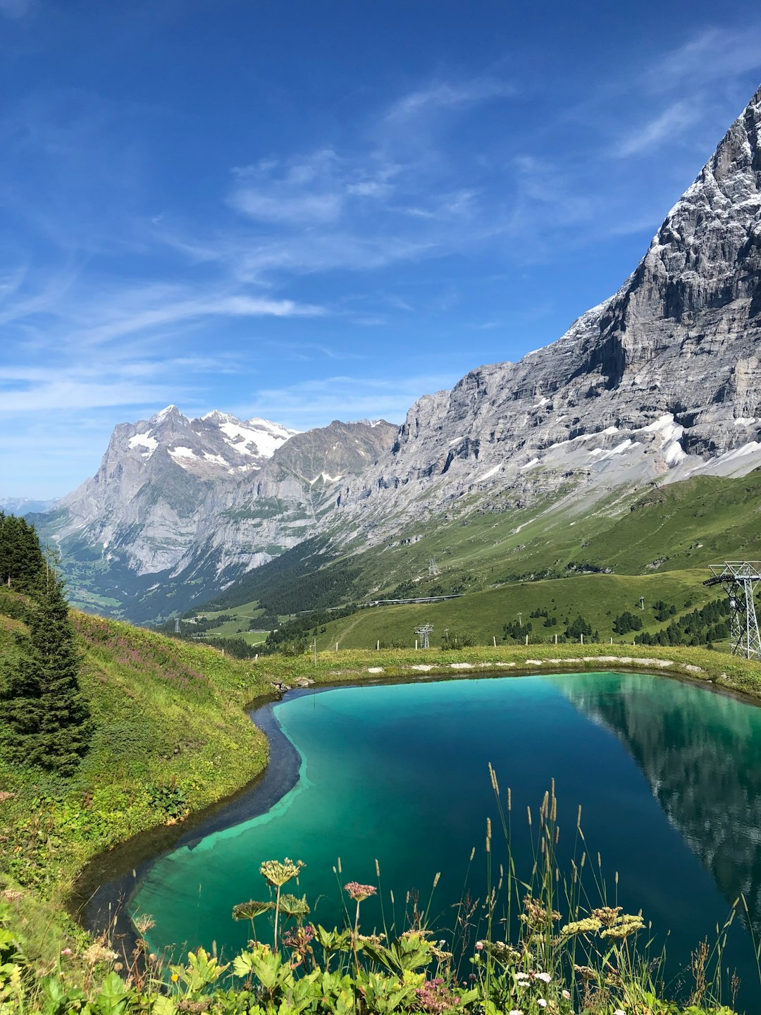 Switzerland: The Gold Standard of Water Quality (image credits: unsplash)
