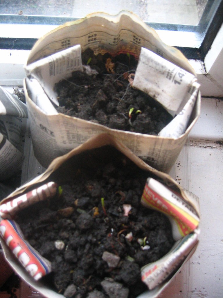 16. Transform Newspaper into Biodegradable Seed Pots (image credits: flickr)