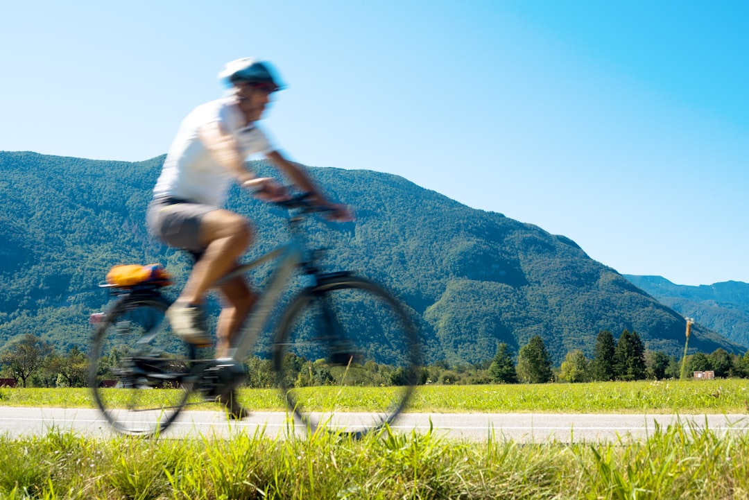 Family-Friendly Road Trip Activities (image credits: unsplash)