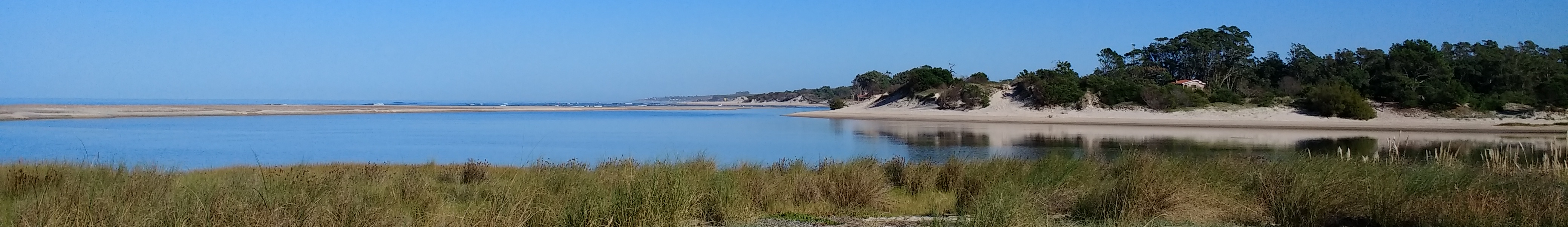 Uruguay South America’s Quiet Gem (image credits: wikimedia)