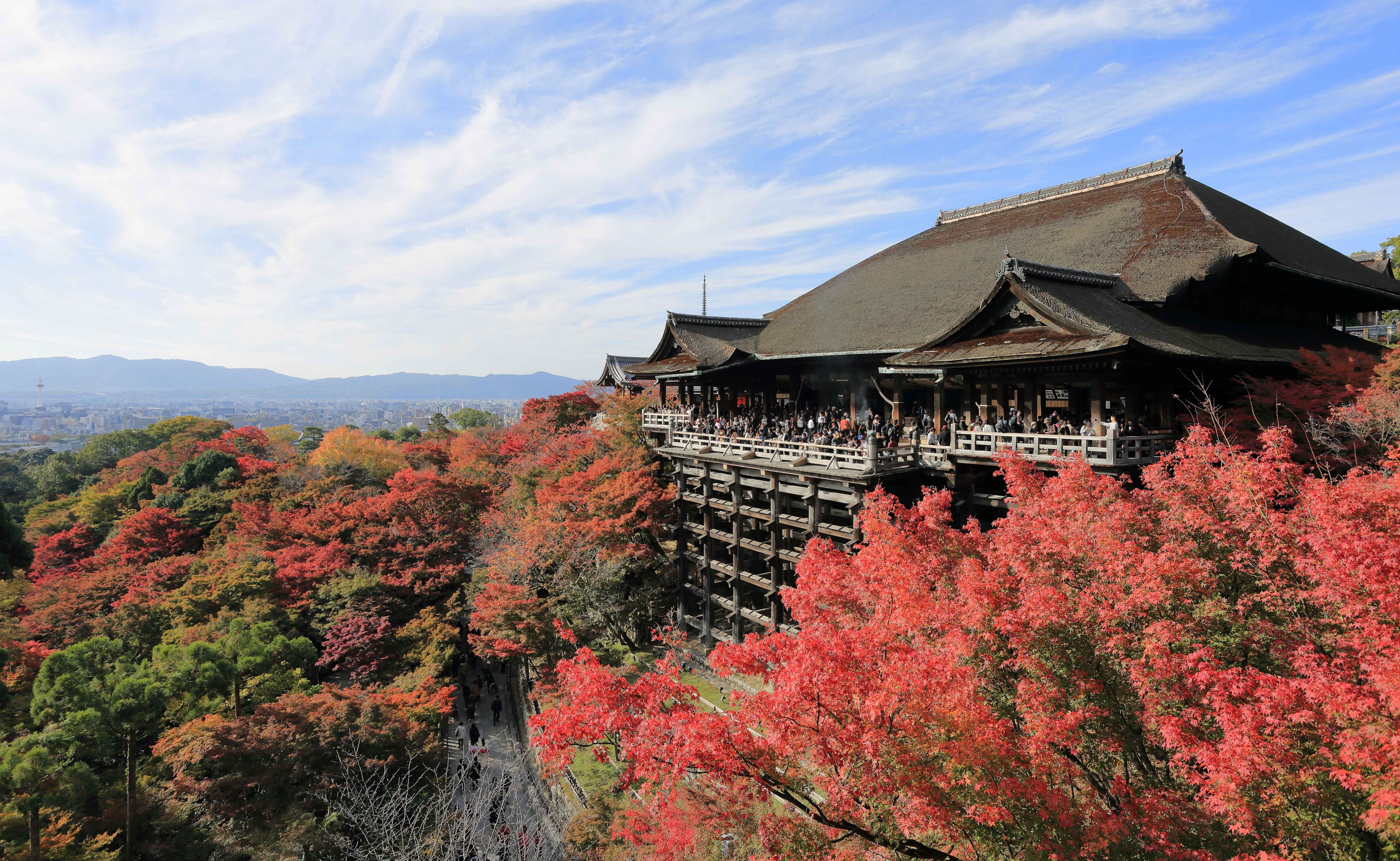 Kyoto Cultural Preservation (image credits: wikimedia)