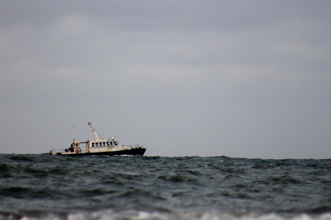 Common Causes of Disappearances (image credits: unsplash)