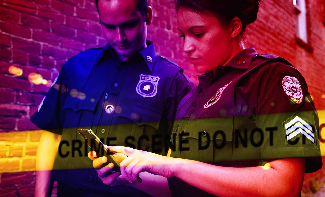 Recent Statistics: Crime Data Paints a Troubling Picture (image credits: pixabay)