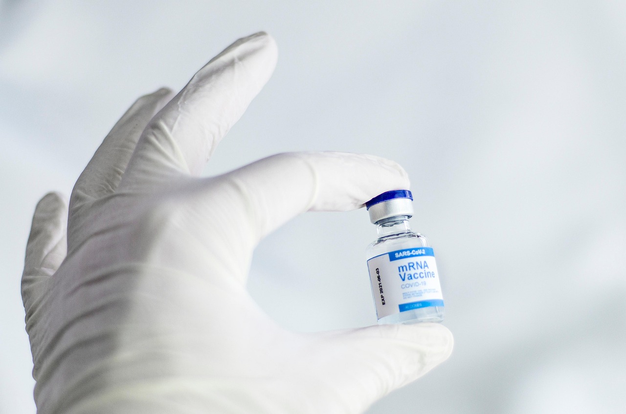 The Role of Vaccination Rates (image credits: pixabay)