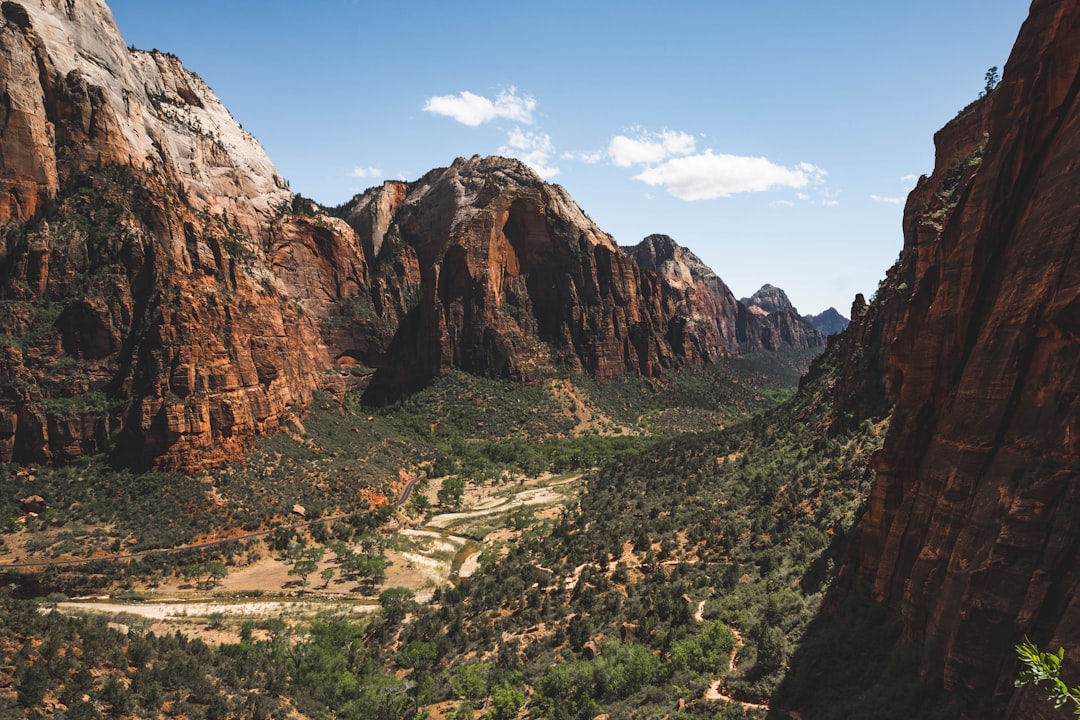 Statistics That Shock: The Real Toll of Angels Landing (image credits: unsplash)