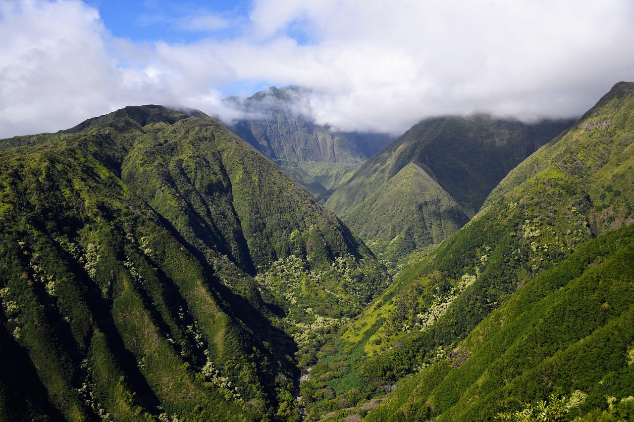 Environmental Concerns (image credits: pixabay)