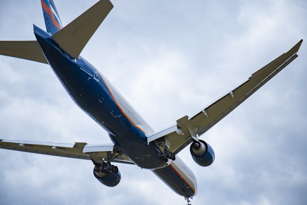 Sheremetyevo International Airport (Moscow, Russia) (image credits: unsplash)