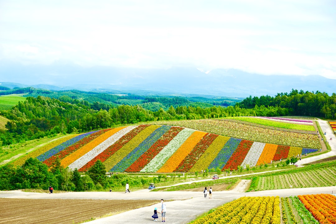 Japan: A Harmony of Old and New (image credits: unsplash)