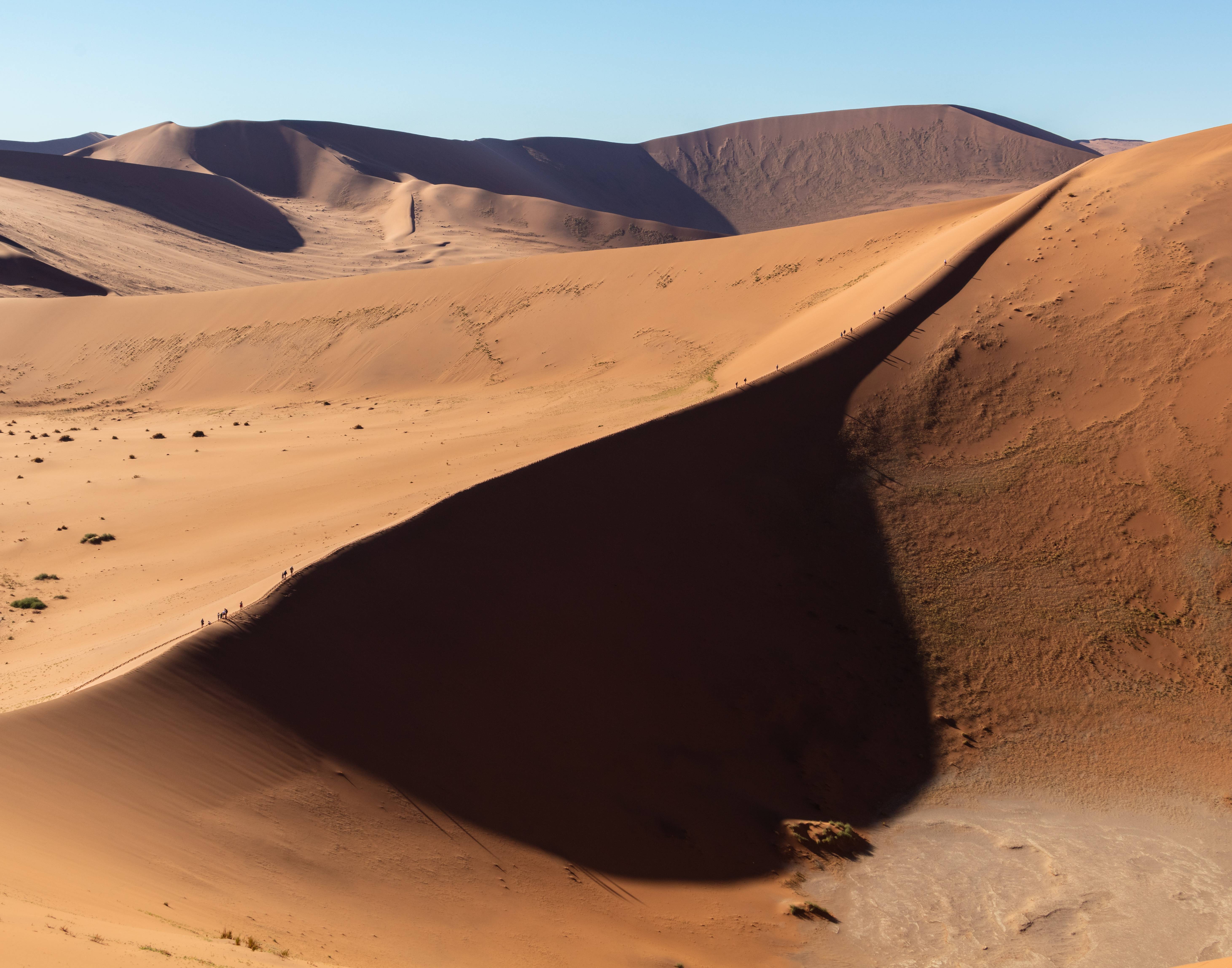 Namibia Dunes of Fire and Skeleton Coasts (image credits: wikimedia)