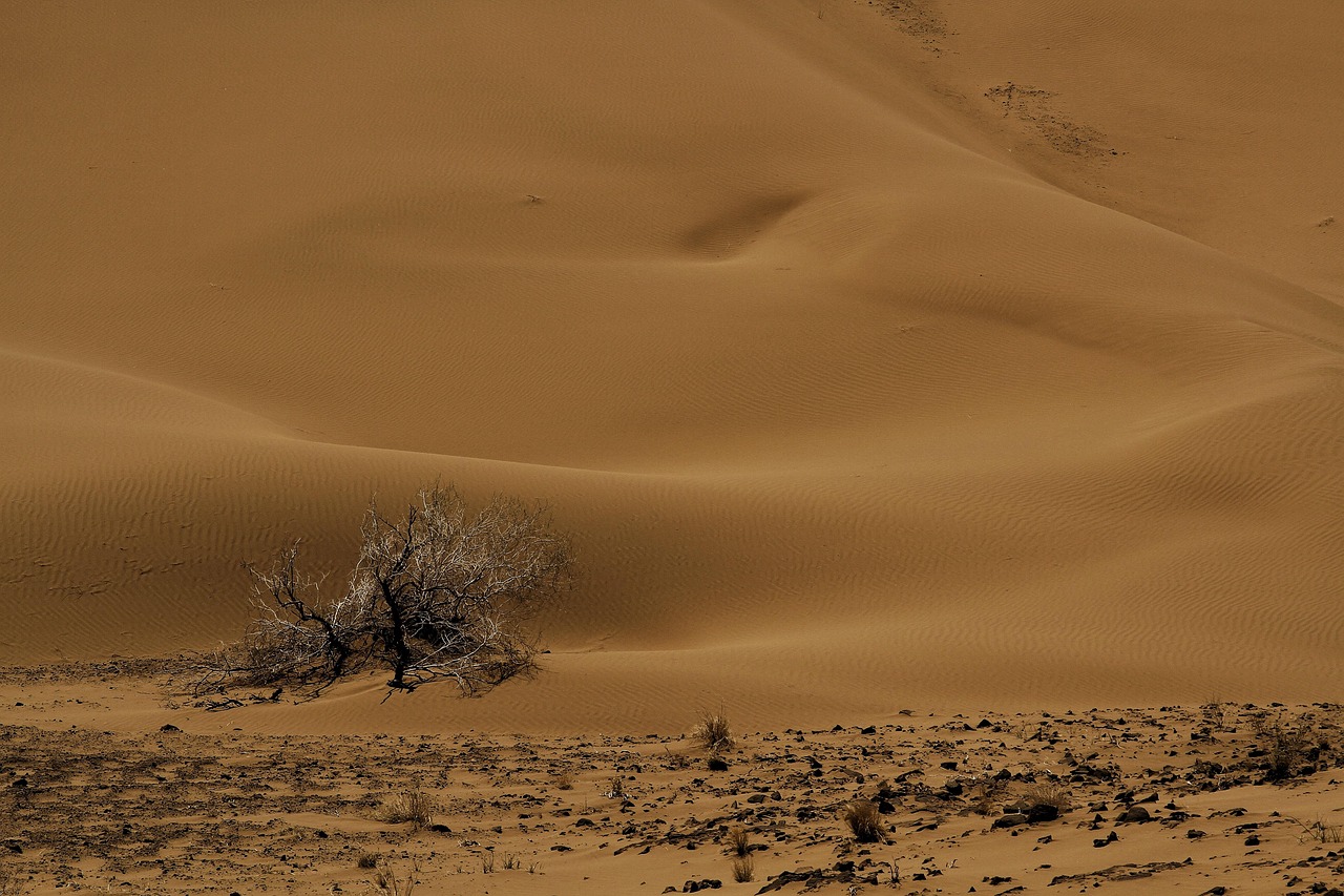 7. Iran: The Heat and Its Consequences (image credits: pixabay)
