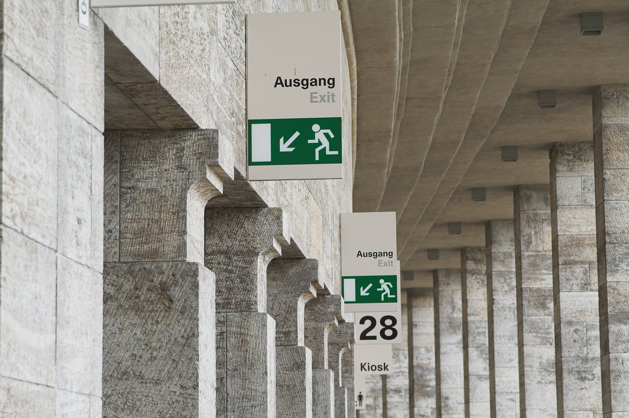 Emergency Evacuation and Repatriation: Costs and Caveats (image credits: pixabay)
