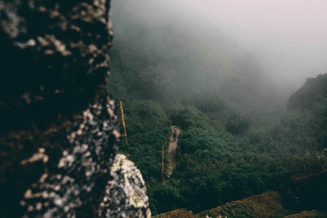 Peru Amazon Frontier Fights for Balance (image credits: unsplash)