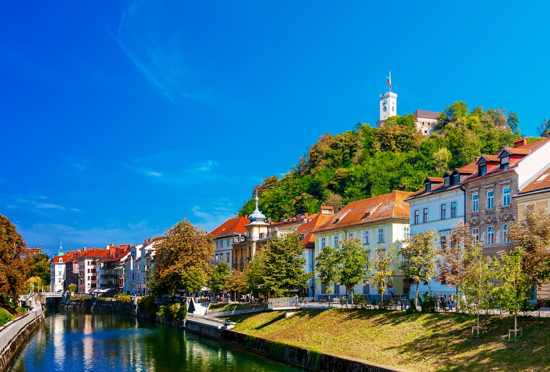 Slovenia: Nature’s Playground (image credits: unsplash)