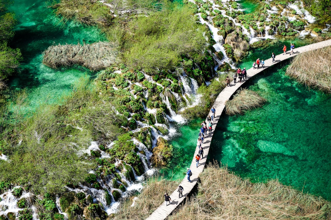 Havasu Falls, Arizona (image credits: unsplash)