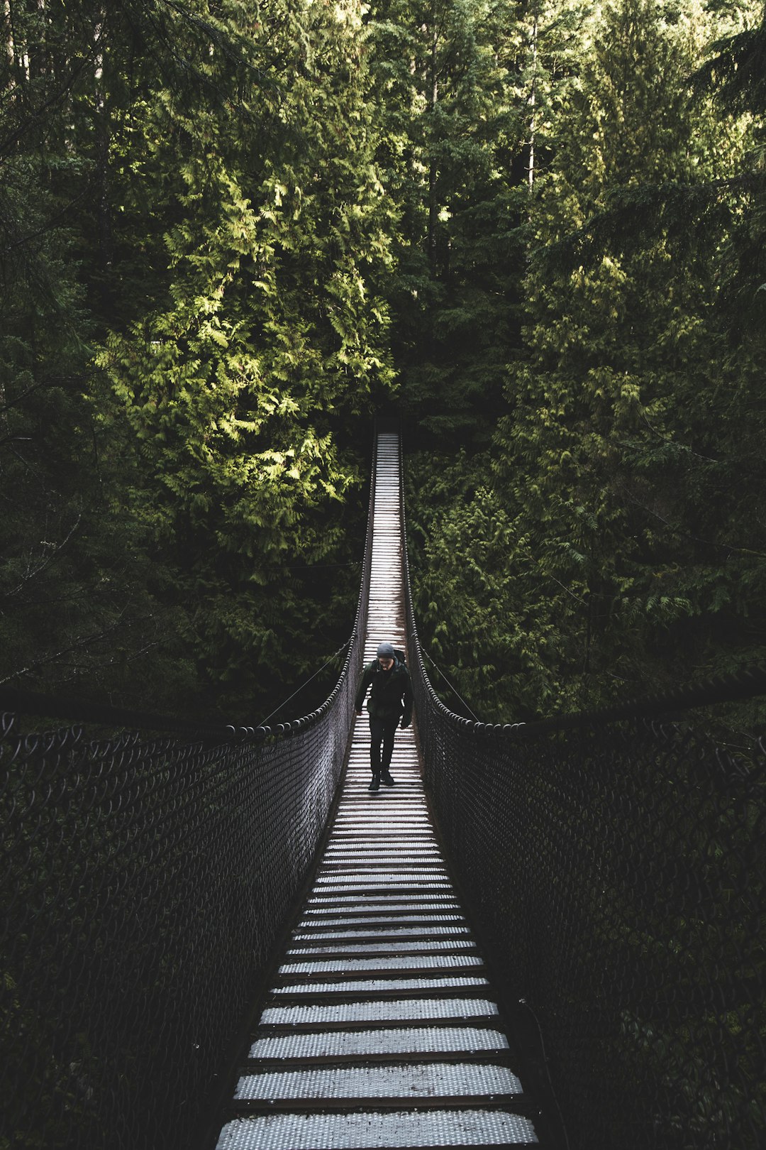 Canada Friendliness and Freedom (image credits: unsplash)