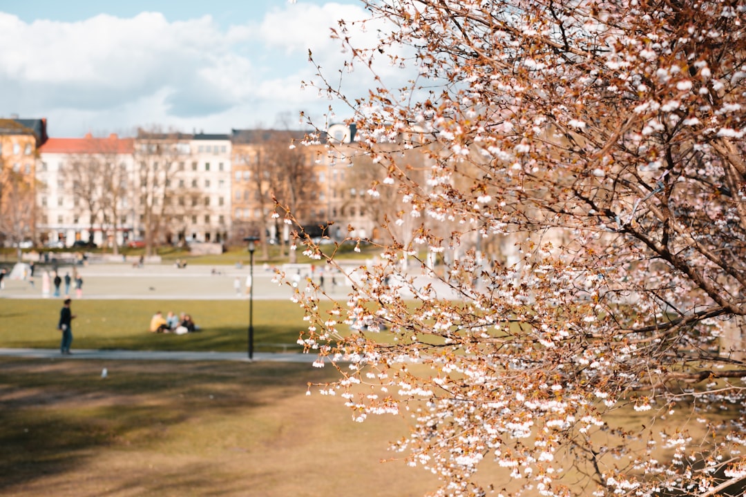 Sweden: The Equality-Driven Society (image credits: unsplash)