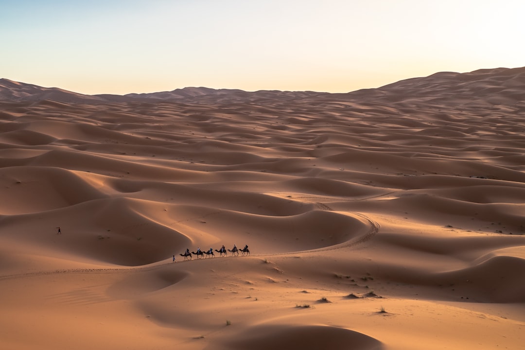 Saudi Arabia: The Desert Heat (image credits: unsplash)