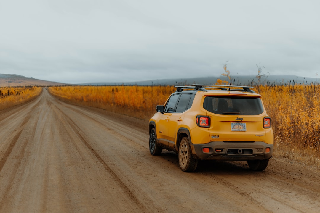 Rising Costs Steer Travelers Homeward (image credits: unsplash)