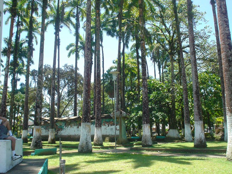 Costa Rica: A Model for Sustainable Development (image credits: wikimedia)