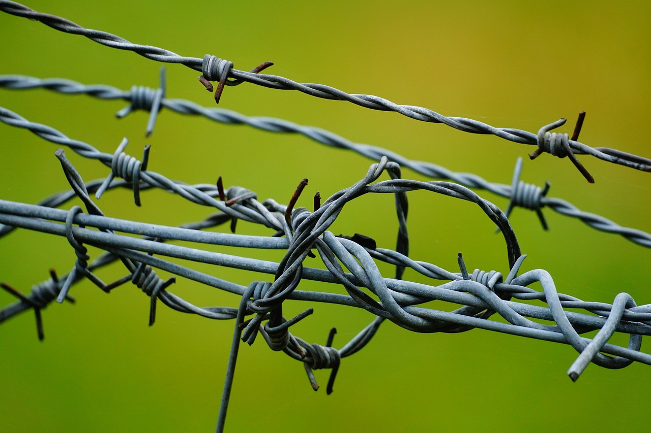The Barbed Wire City: Military Control and Decades of Silence (image credits: pixabay)