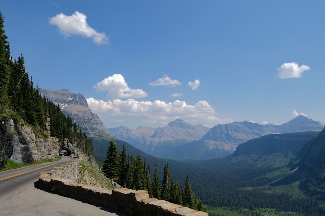 Going-to-the-Sun Road, Montana (image credits: unsplash)