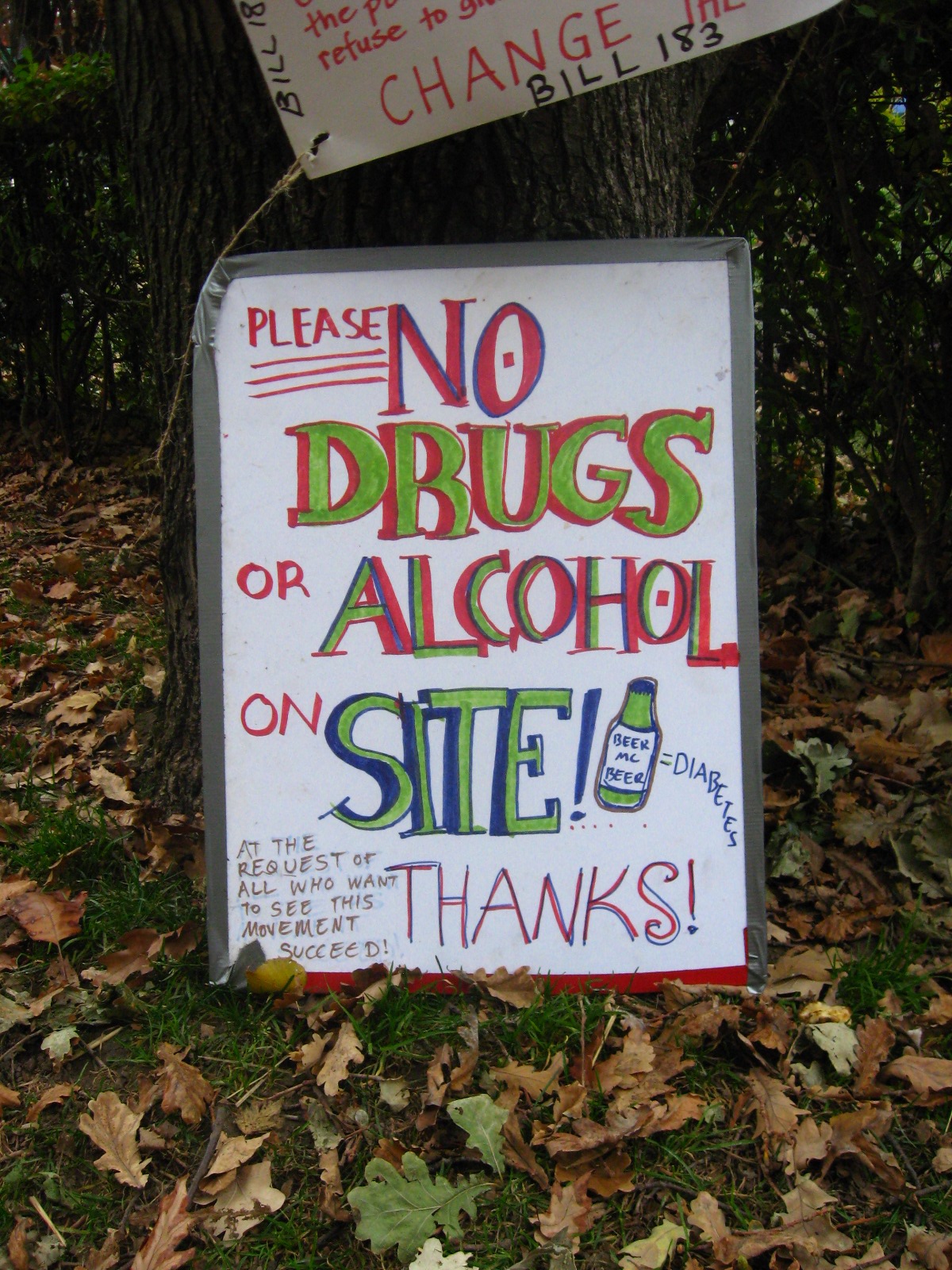 Drug Laws and Misinterpretations (image credits: wikimedia)