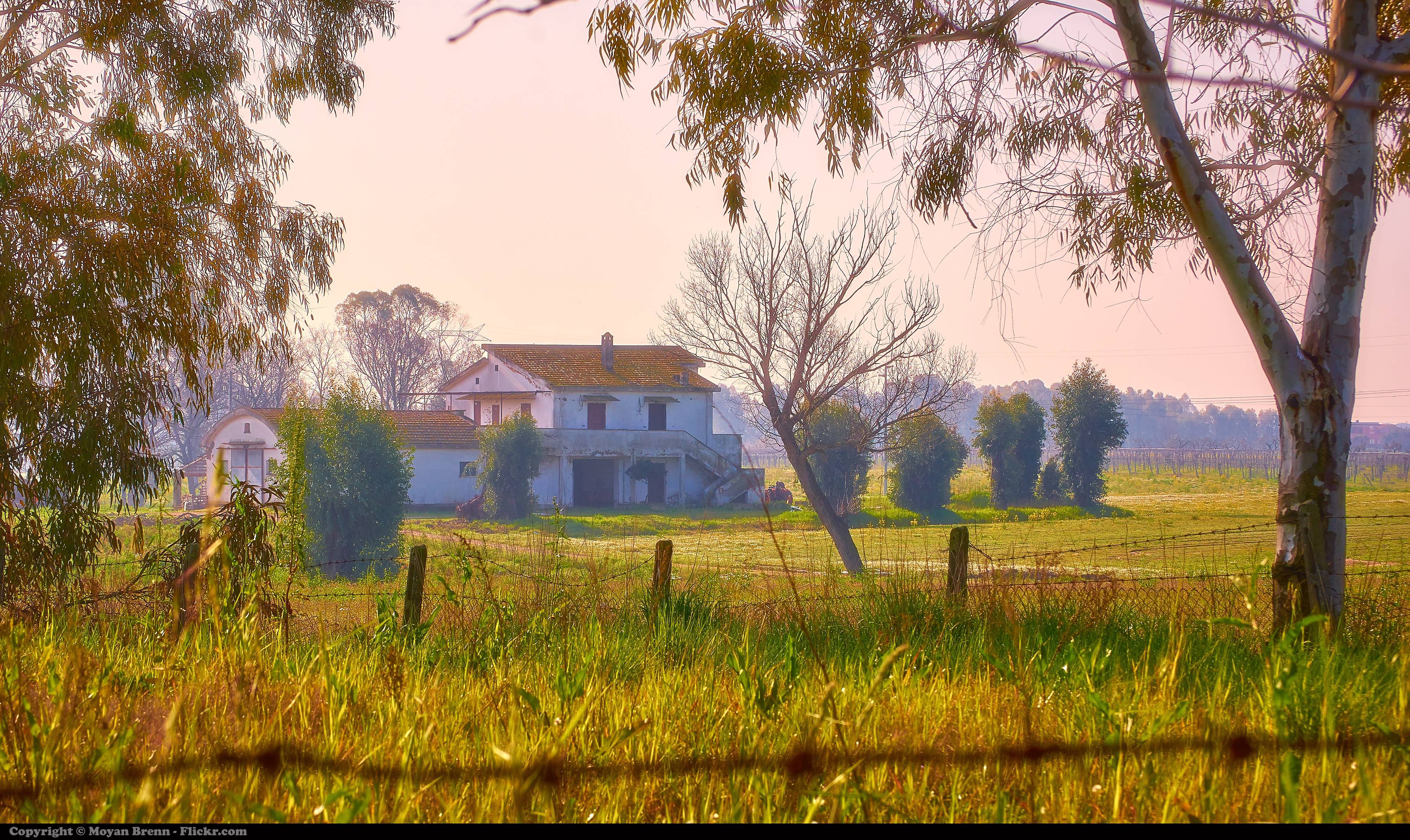 Italy Olive Groves and Rustic Dreams (image credits: wikimedia)