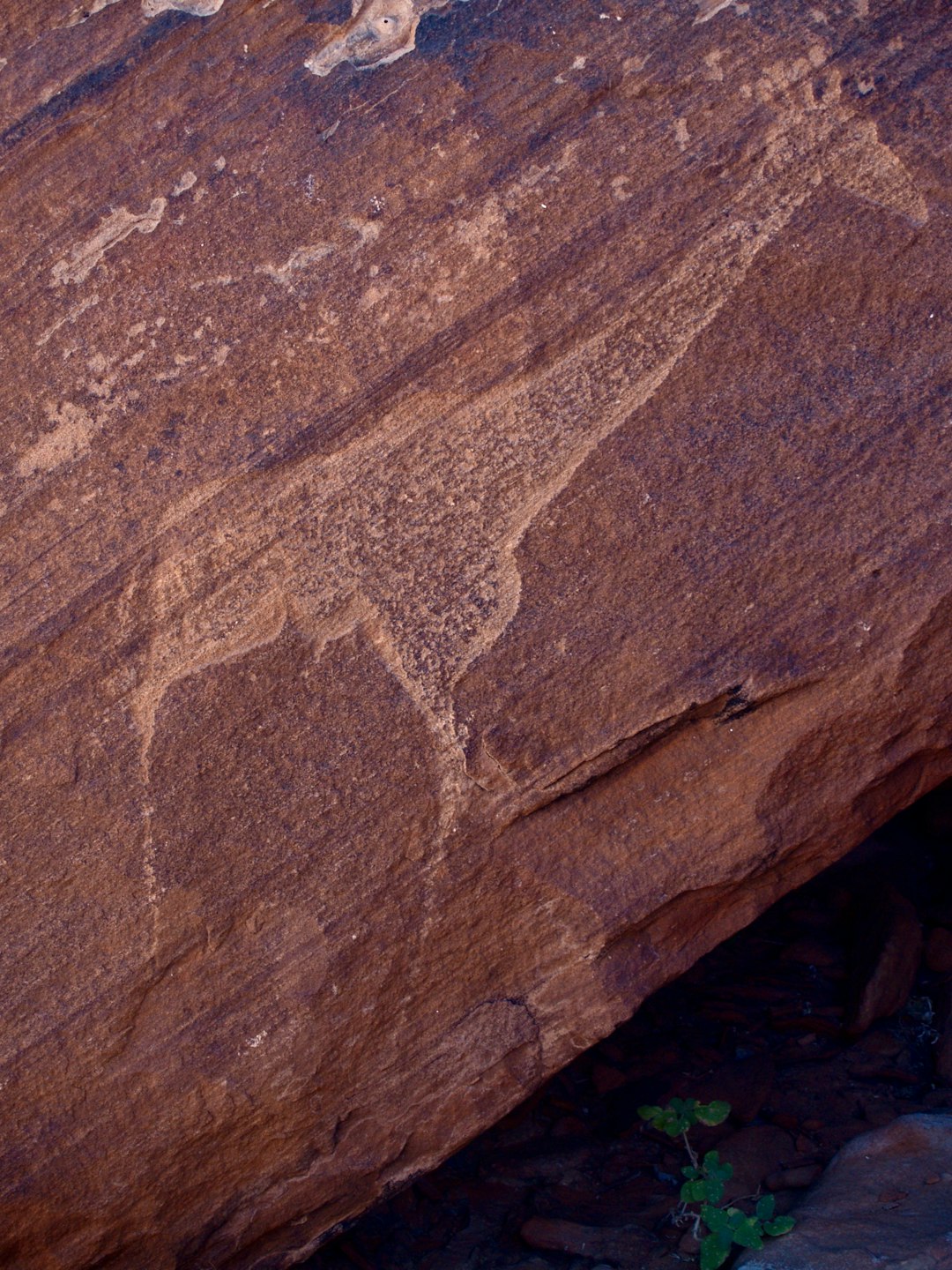 Rock Art and Inscriptions: Decoding Millennia of History (image credits: unsplash)