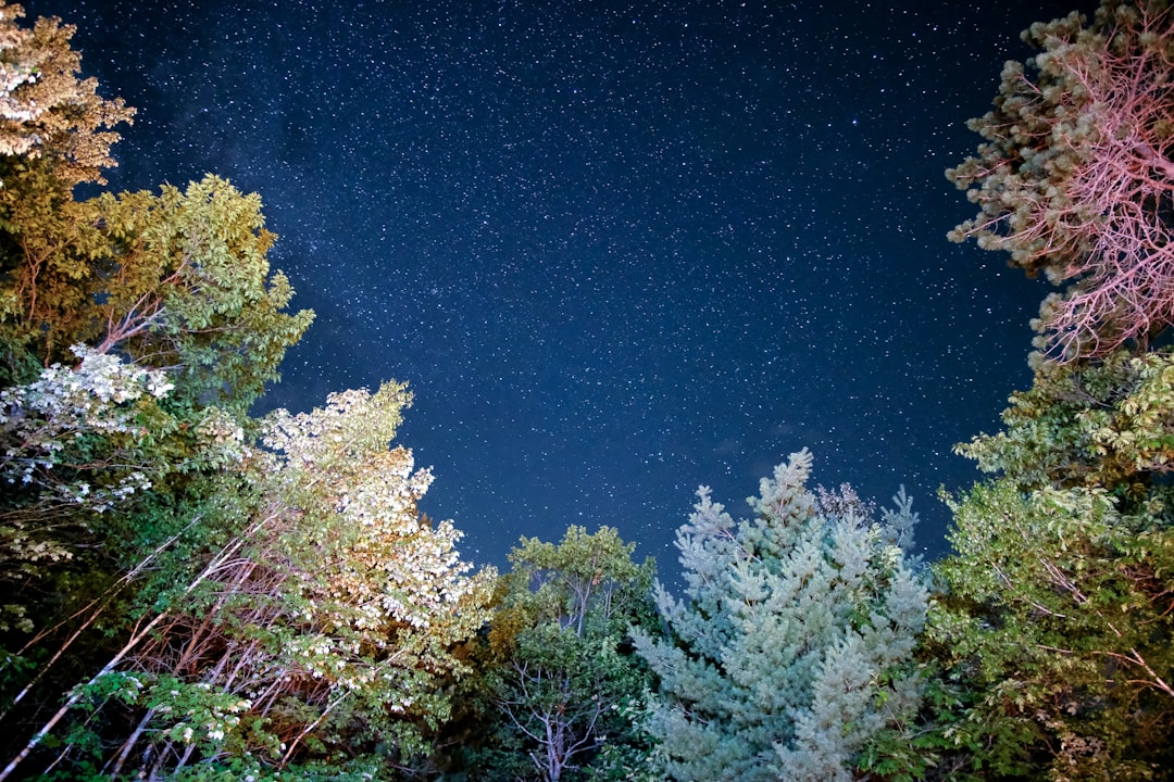 Nighttime Like You’ve Never Known (image credits: unsplash)