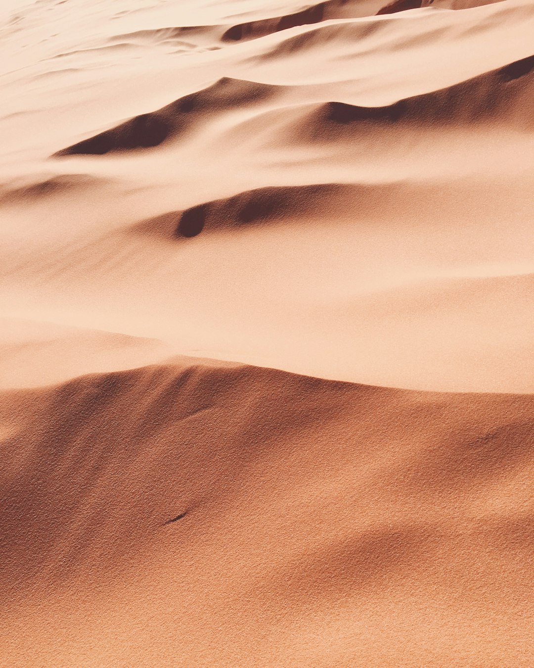 The Remote Wonderland: Antelope Wells, New Mexico (image credits: unsplash)