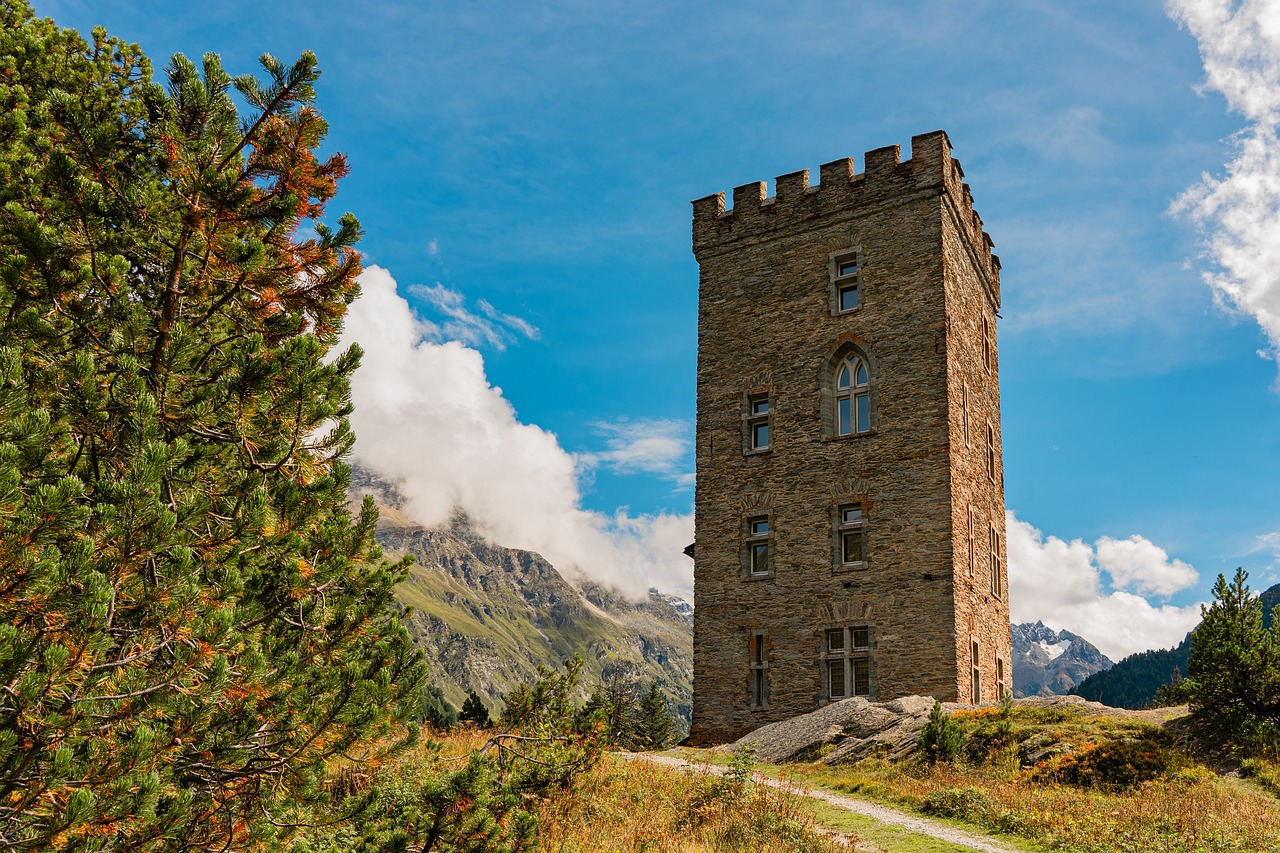 Tourism, Tensions, and the Shadow Economy (image credits: pixabay)
