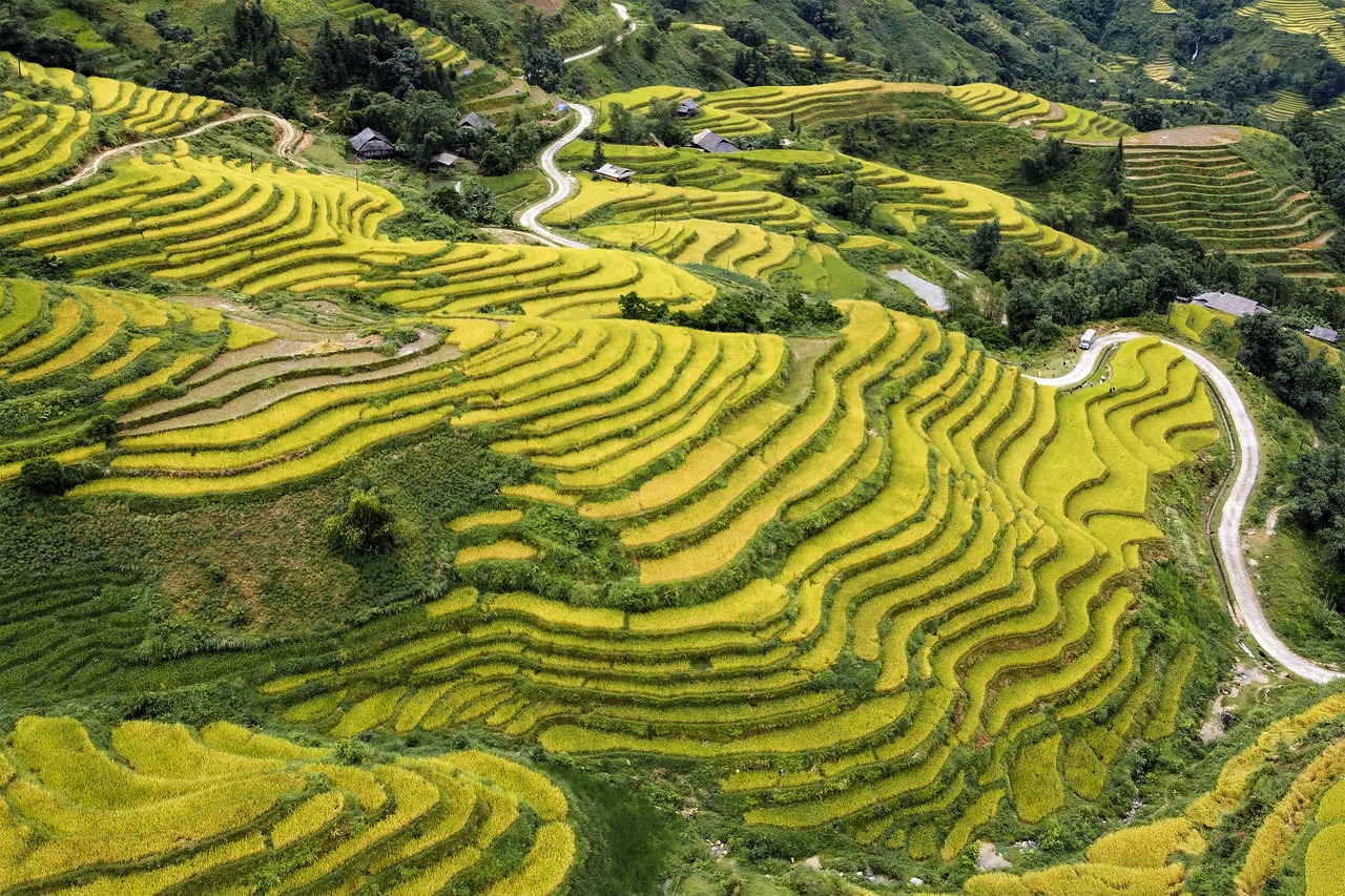 Aro Ha Wellness Retreat – New Zealand (image credits: pixabay)