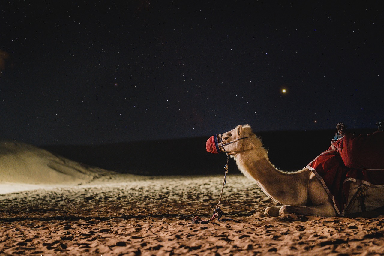 United Arab Emirates: Desert Heat and Dazzling Nights (image credits: pixabay)