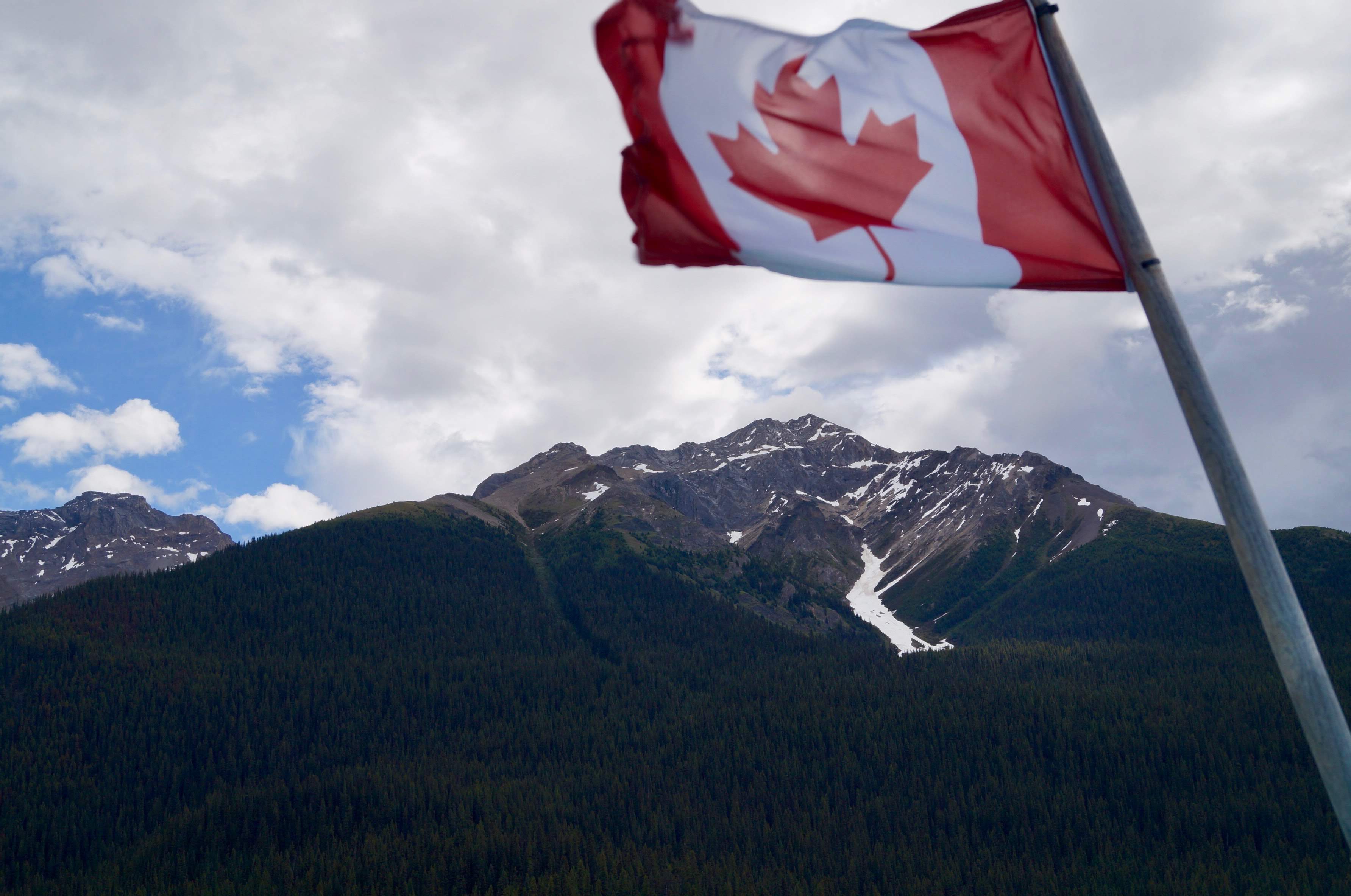 Jasper A Wild Sanctuary Under Strain (image credits: wikimedia)